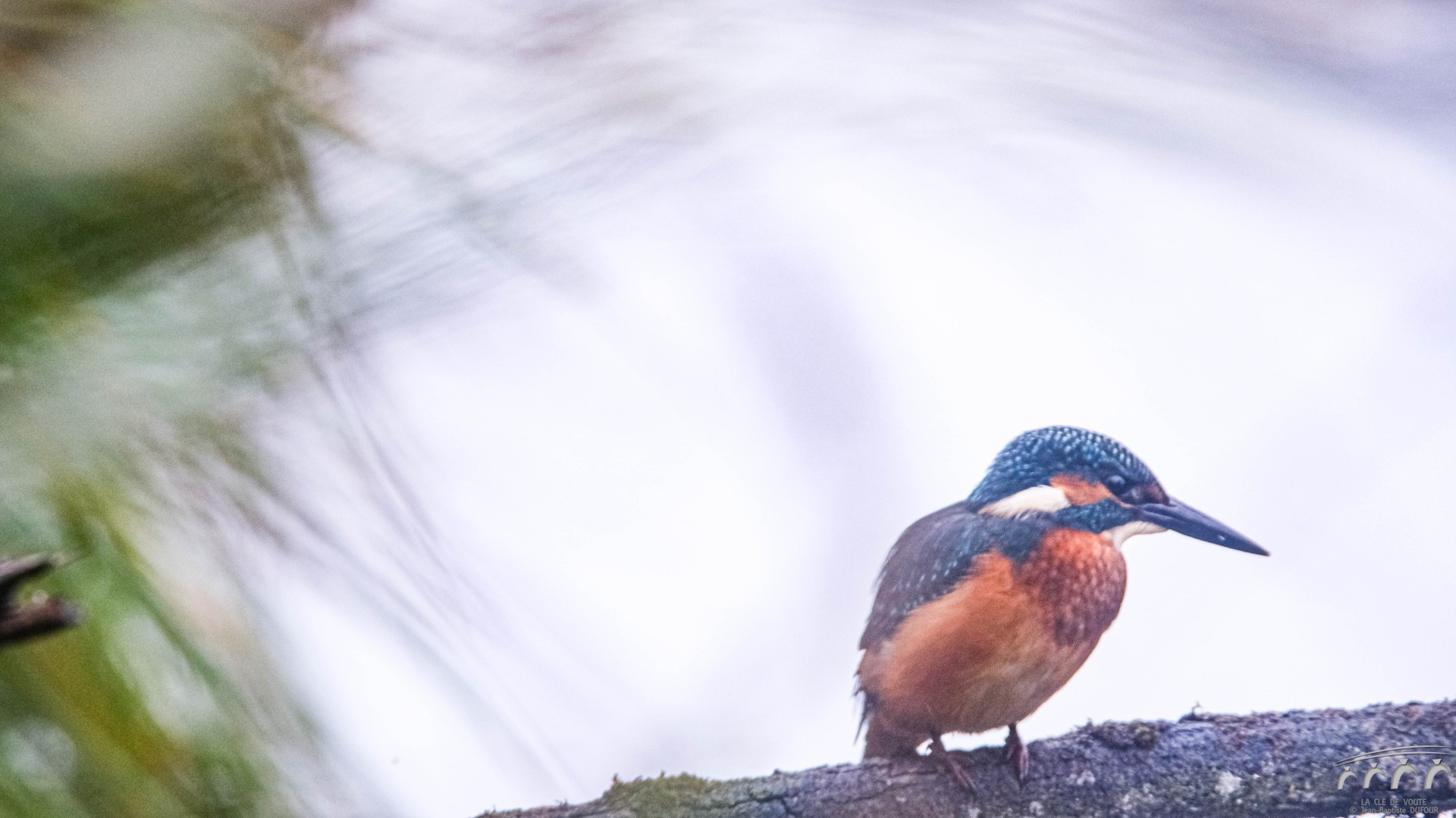 La flèche bleue 