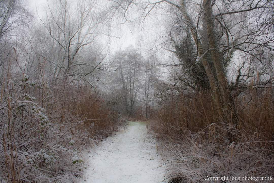 Tableau d hiver 
