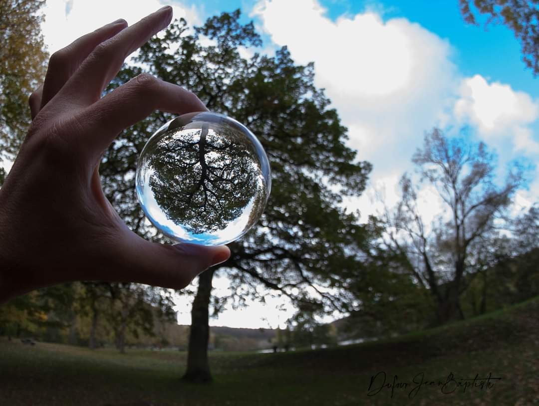 La renaissance magique