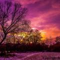 IMG-20170113-00459