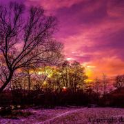 IMG-20170113-00459