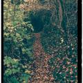 IMG_20171109_174711