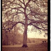 IMG_20171120_142425