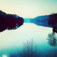 Reflet d hiver sur fond d eau 
