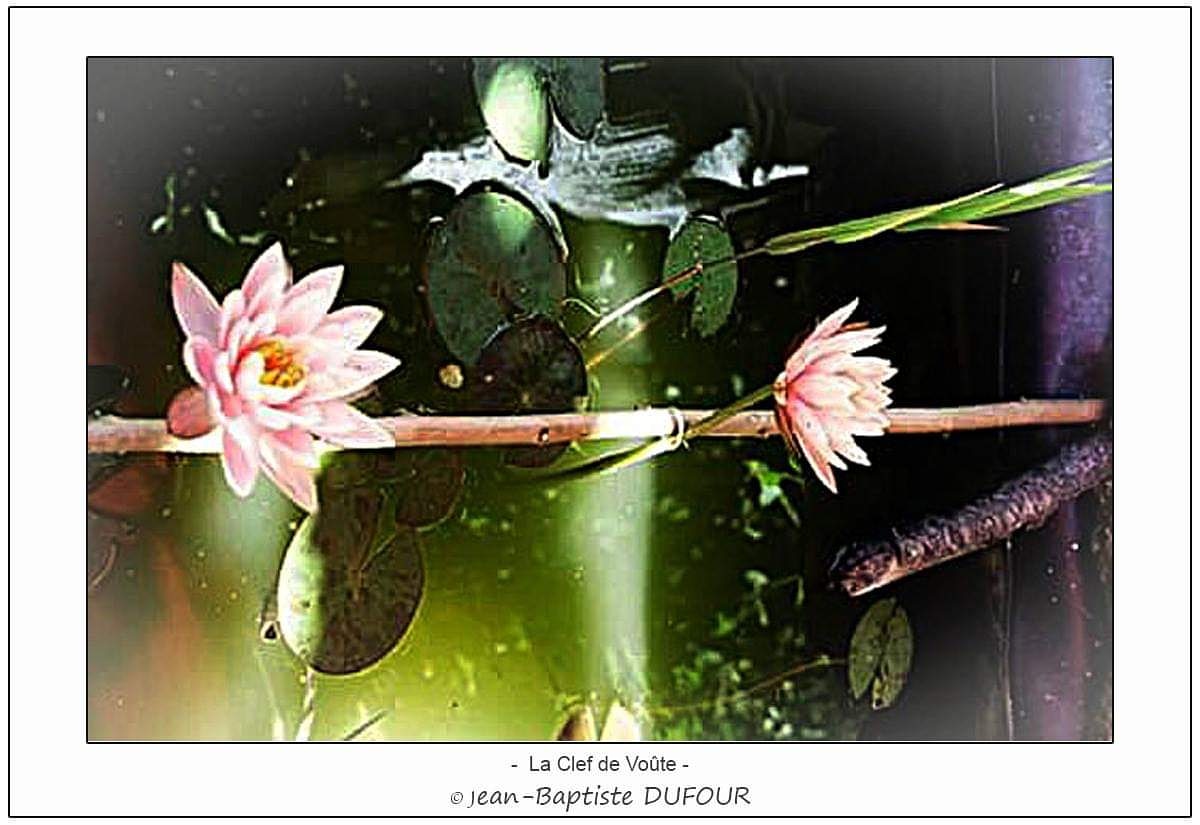 IMG_20190606_080256_490