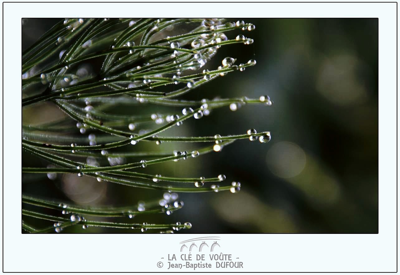 Le bal des gouttes d eau 
