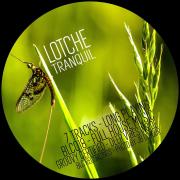 https://m.soundcloud.com/blcrecordings/lotche-tranquil-lp-out-01052020