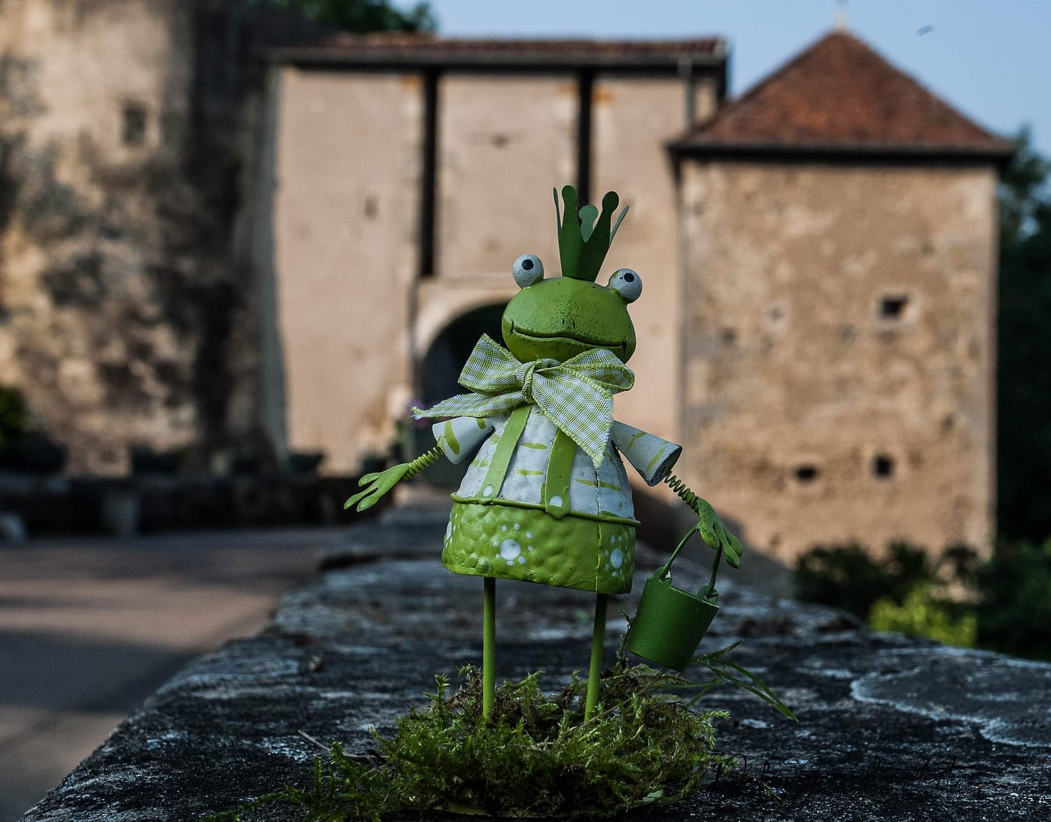 Le vagabond au village 