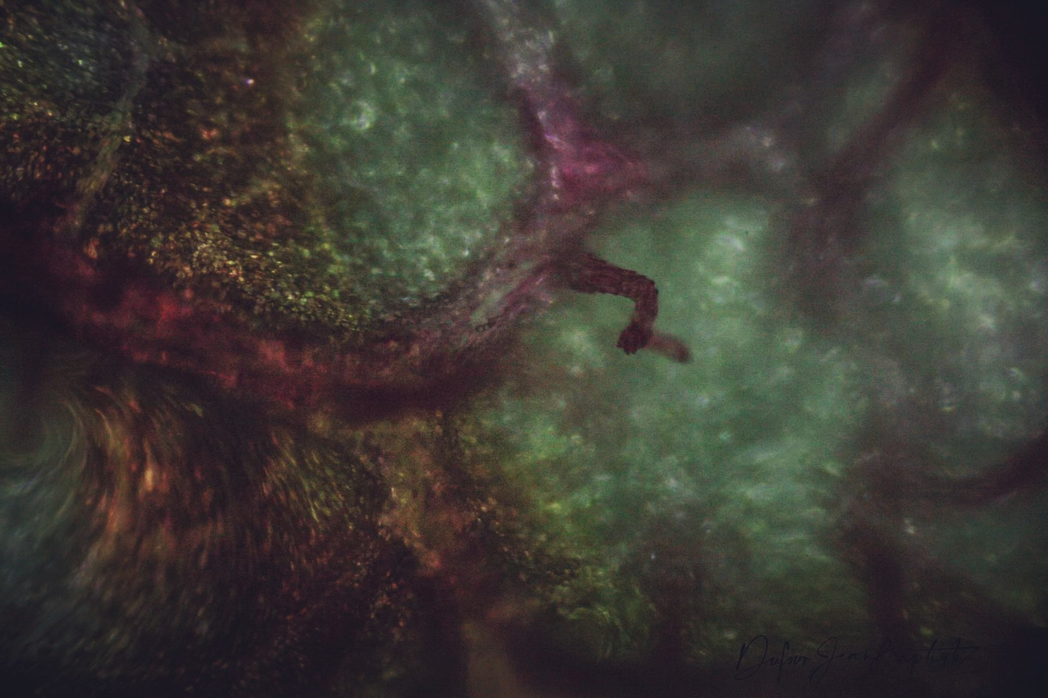 Fantôme