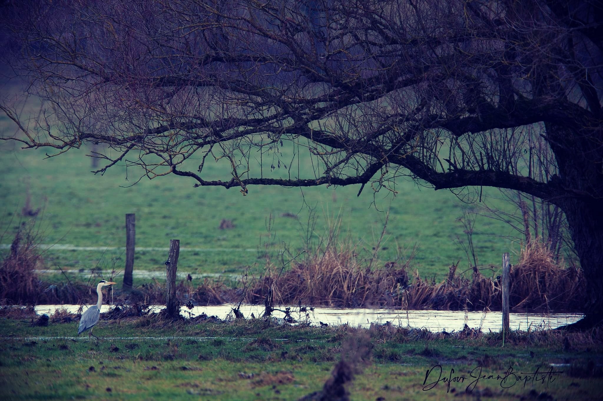 Le chasseur