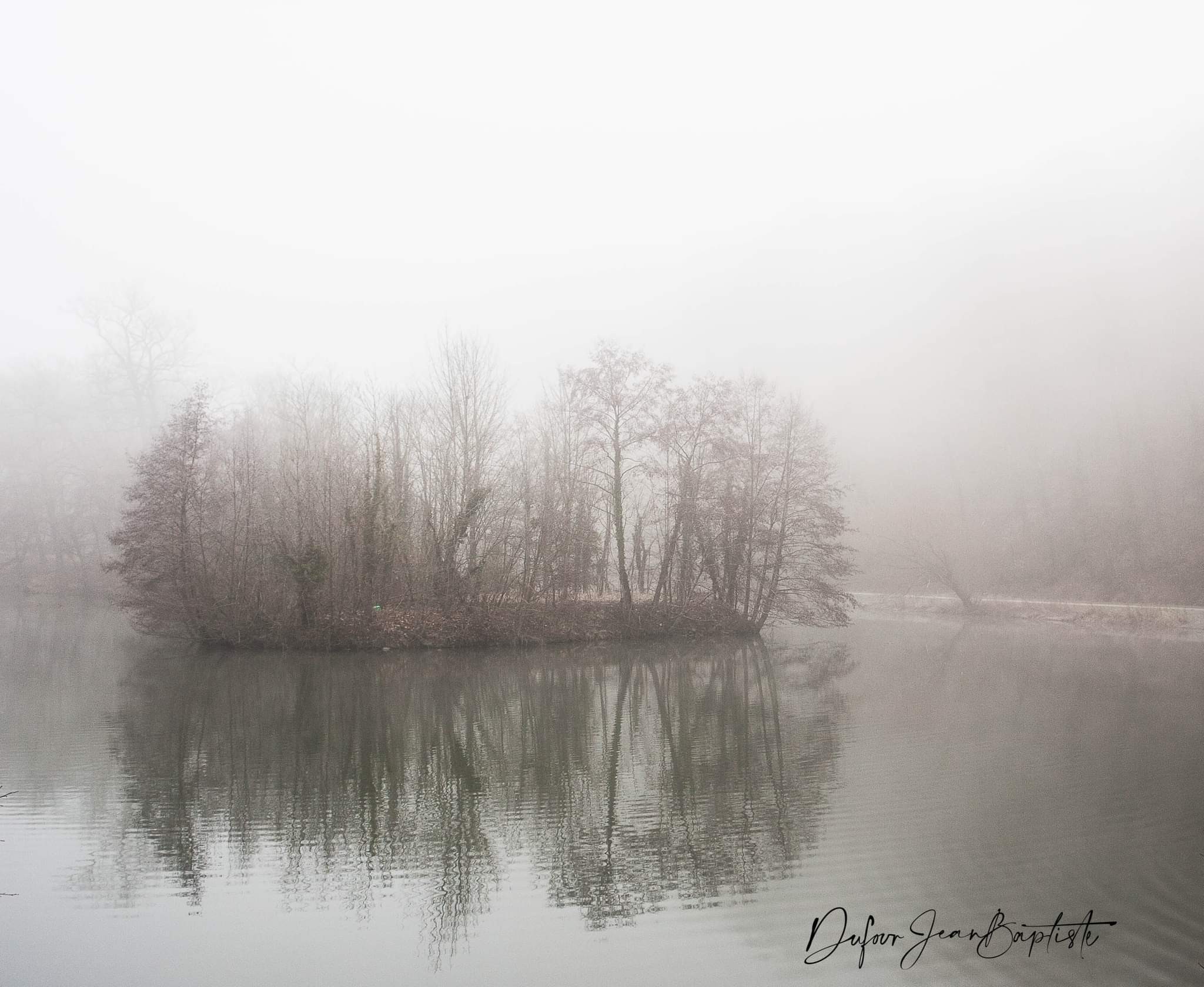 Fog 