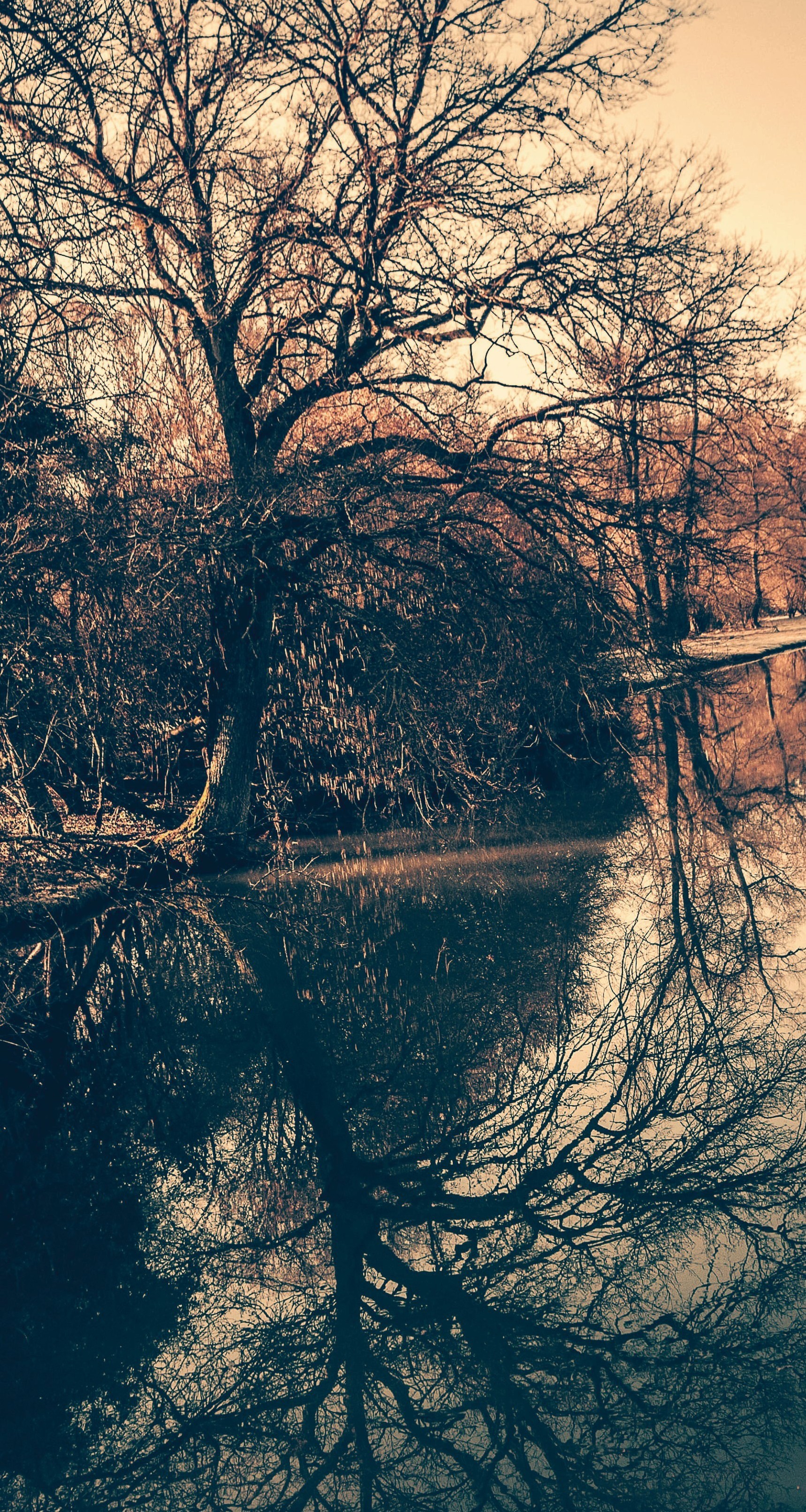 Miroir naturel