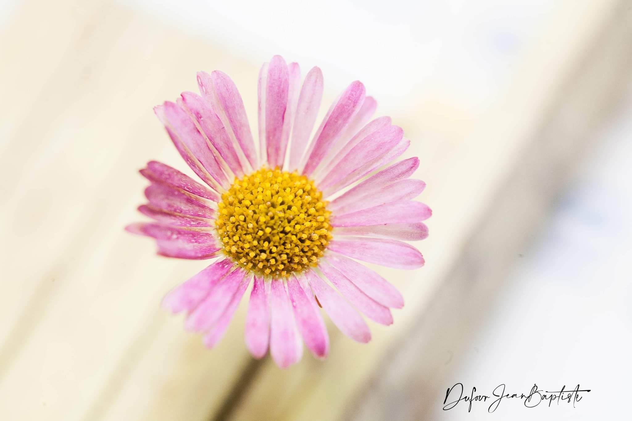 Simplement naturel