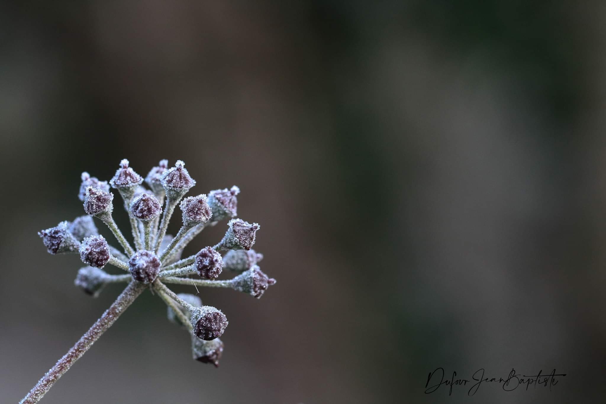 L hiver 