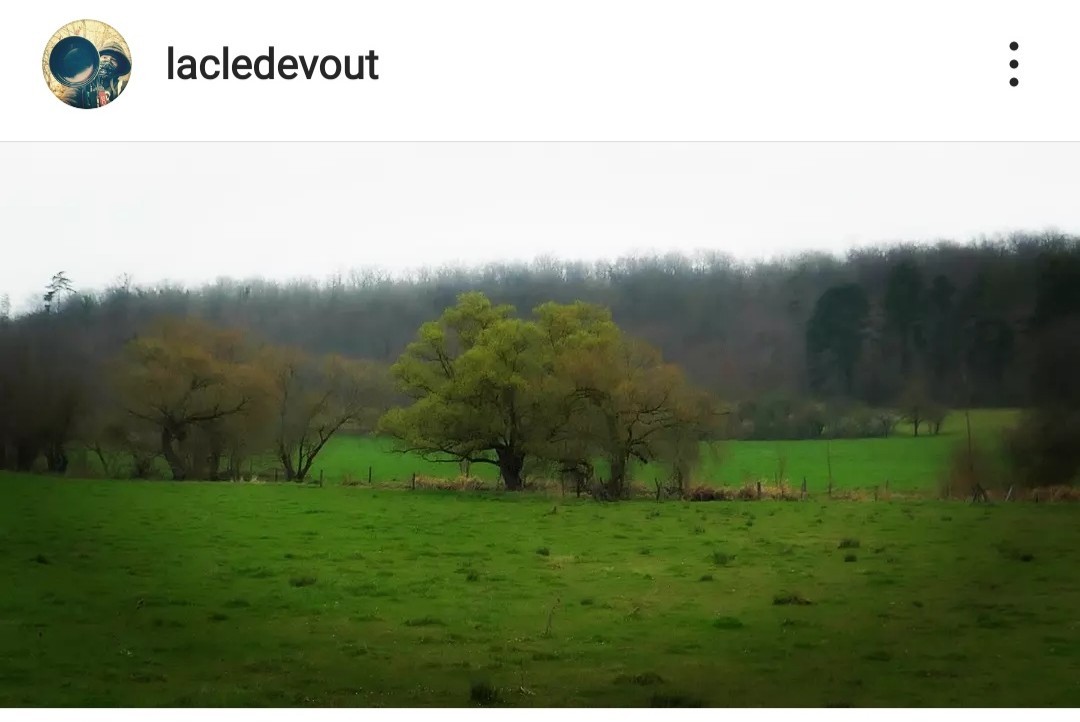 L arbre qui cache la forêt