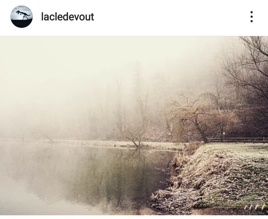 Brouillard 