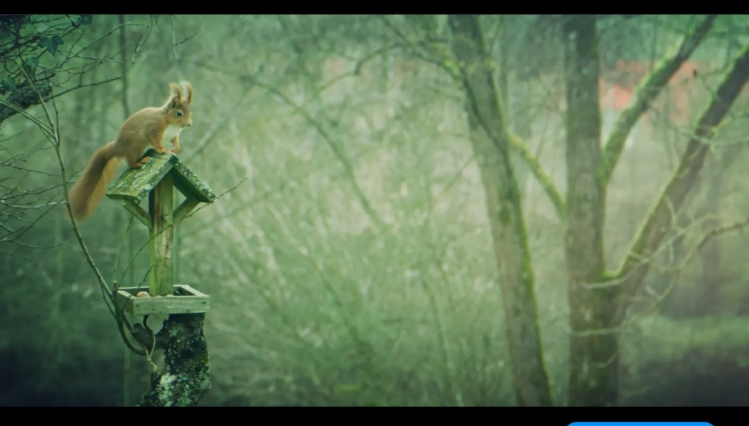 Le revenant 