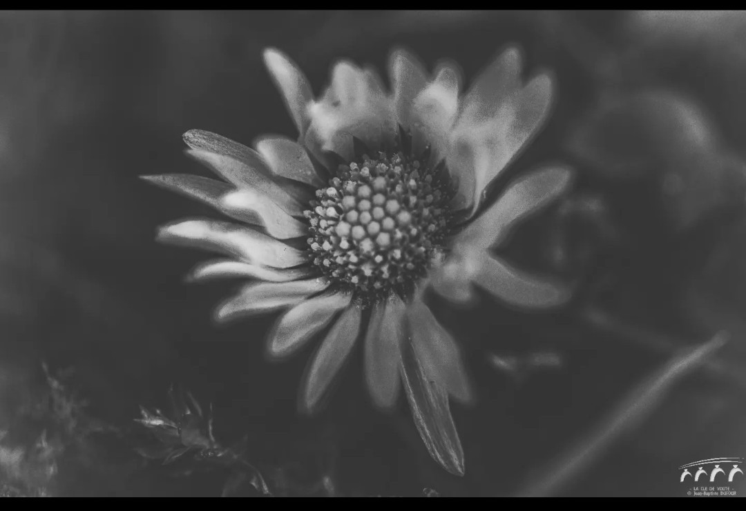 Noir et blanc 