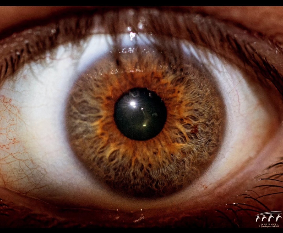L oeil du photographe 