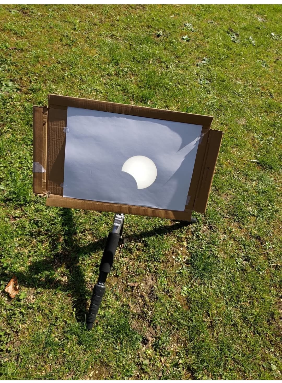 L éclipse partiel de mars 2025
